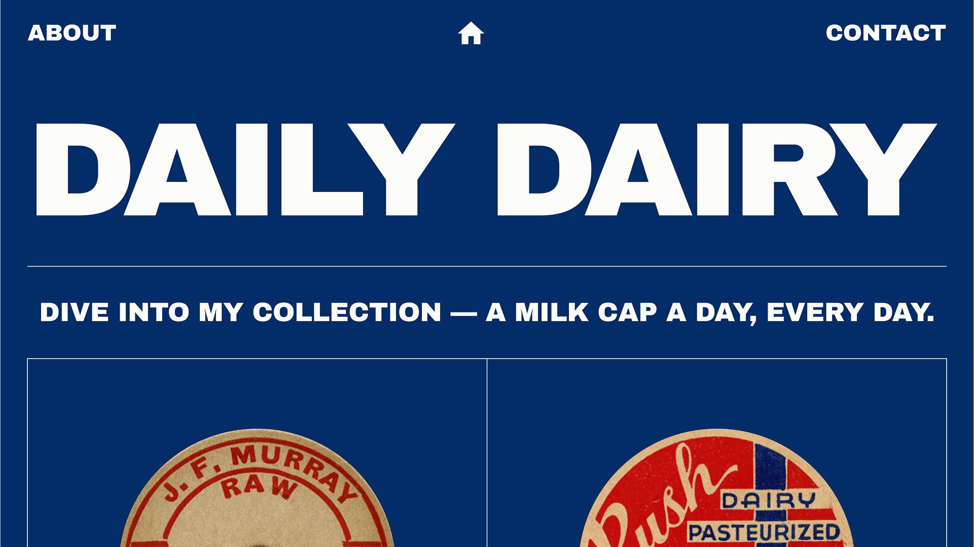Daily Dairy